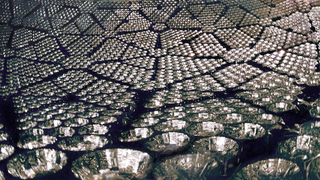 Neutrinos Change Their Flavor and Snag Another Nobel Prize